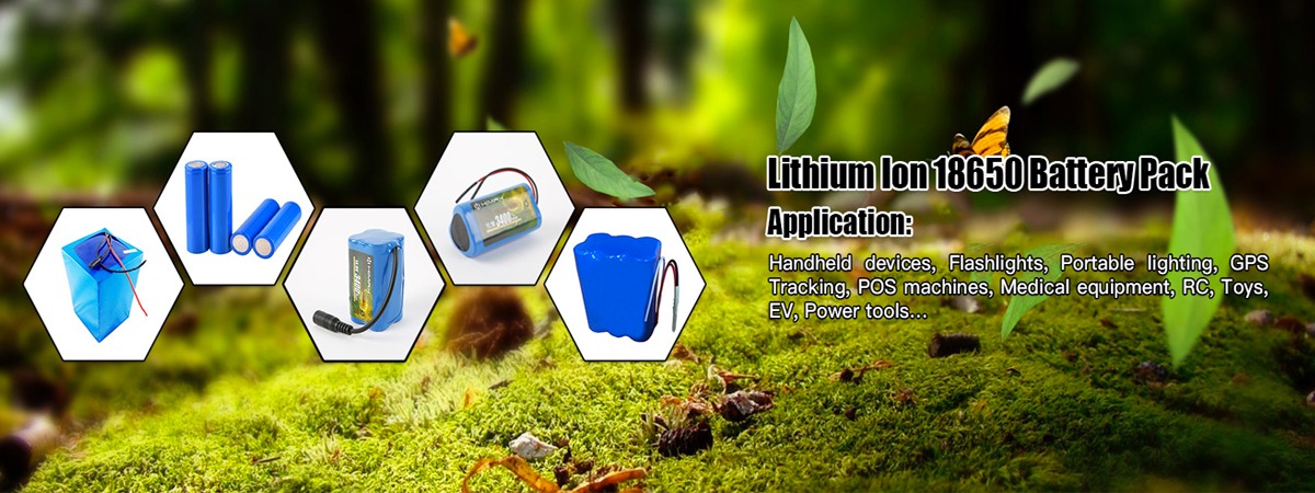 Bateria de íon-lítio personalizada